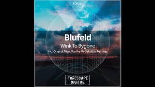 Blufeld - Wink to Bygone (Original Mix)