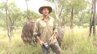 Garrett Australia AT Pro International Demonstration