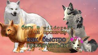 Как быстро прокачаться в wildcraft  ||wildcraft 7 багов на прокачку|| wildcraft баги||wildcraft акк|