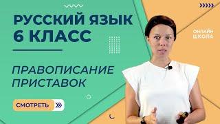 Правописание приставок. Видеоурок 7. Русский язык 6 класс