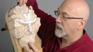 How to Carve a Traditional Green Man