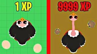 MOPE.IO NEW BIRDS EVOLUTION! MOPE.IO NEW UPDATE(mope.io update)