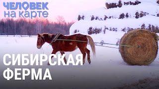 Сибирская ферма | ЧЕЛОВЕК НА КАРТЕ