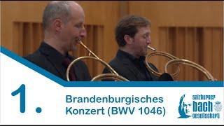 1. Brandenburgisches Konzert (BWV 1046) | Barockorchester des Instituts für Alte Musik Uni Mozarteum