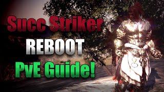 Succ Striker REBOOT Ultimate PvE Guide | Black Desert Online