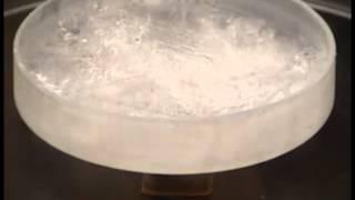 fun with liquid nitrogen