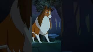 ZEHER?? #lassie #ytshortsindia #ytshorts #ytviralshorts #ytshortvideos #animated #fyp