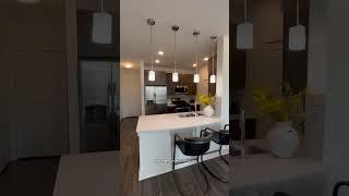 Houston Apartment Tour $1,207 /mo