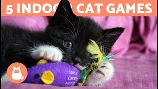 5 GAMES to ENTERTAIN Your CAT at HOME 