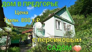 ДОМ В ПРЕДГОРЬЕ/ С ПЕРСИКОВЫМ САДОМ/ Цена 1 млн. 800 т.₽