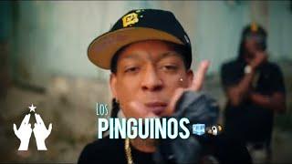 Rochy RD , Pablo Piddy , Dj Patio - LOS PINGÜINOS 