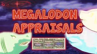 SPARKLING SHINY GIANT MEGALODON APPRAISALS | FISCH