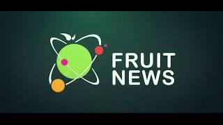 Диалоги FruitNews заставка