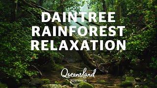 Relax in Australia's Daintree Rainforest