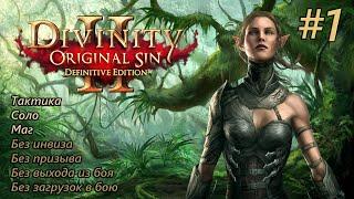 Прохождение Divinity: Original Sin 2 [Definitive Edition]. Тактика без инвиза. Соло. #1