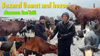 Baxmal Usmat mol bozori arzon boʻlib ketdi 8 декабря 2024 г.