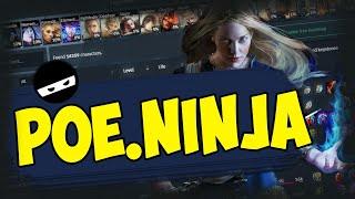 Гайд по POE Ninja. Как следить за экономикой и искать билды на старт лиги? Информация по анонсу.