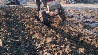 Мотокультиватор Пашет... процесс пахоты... 15 лошаденный сил, Китайский плугом