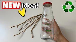 Wonderful Transformation of Glass Bottles and Tree Branches!