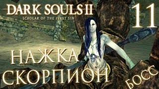 Прохождение Dark Souls 2: Scholar of the First Sin — Часть 11: БОСС: СКОРПИОН НАЖКА