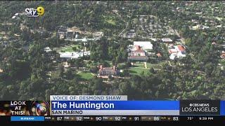 Look At This: The Huntington