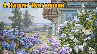 А. Куприн "Куст сирени"