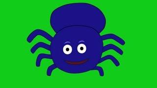 Incy Wincy Spider