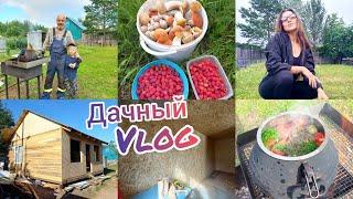 ДАЧНЫЙ VLOG 