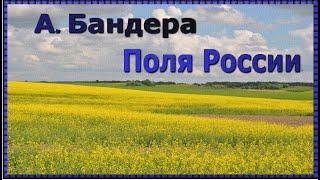 Поля России. А. Бандера. #Русский шансон/Fields of Russia. A. Bandera. #Russian chanson