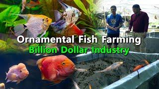 Ornamental Fish Farming, Billion Dollar Industry