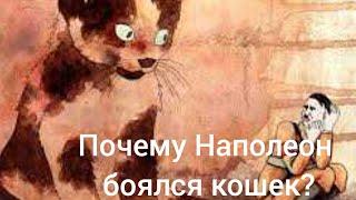 Наполеон боялся кошек