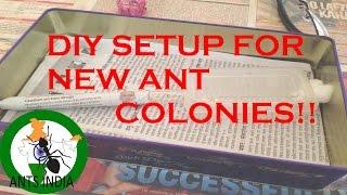 How to make a DIY setup for new ant colonies (ANTics#1)