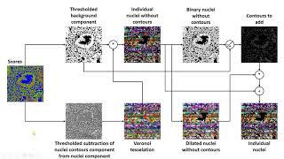 Deep learning-based segmentation for biologists - Processing nuclei segmentation - U-Net