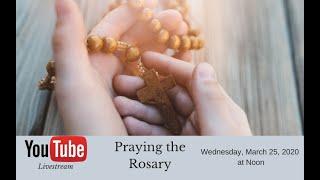 Rosary with Rochester Bishop Salvatore R. Matano