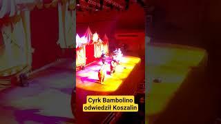 #cyrk #bambolino #dladzieci #dzieci #zabawa #musical #circus #circusvideo #Koszalin #koszalincity