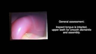 Introduction to high-tech manikin's oral/upper airway assessment