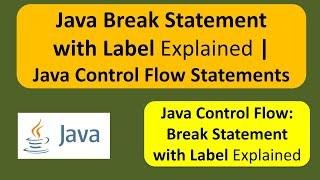 Java Break Statement with Label Explained | Java Control Flow Statements