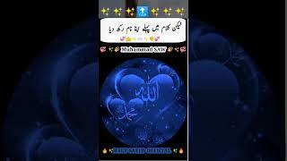 Hazrat Ali se pucha  #shorts
