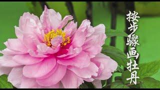 按步骤画牡丹_Chinese Painting_Peony Painting / Peinture chinoise_Comment peindre des pivoines?