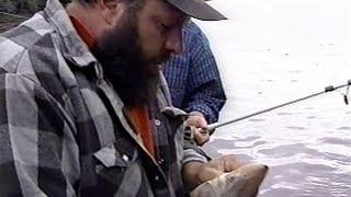 Gillespie Classics - Big Dave Sturgeon Show 1995.mp4
