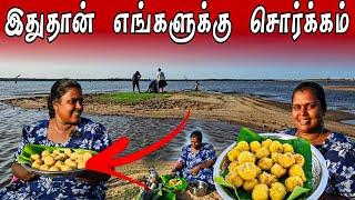 நன்னீர் தீவில் எங்கள் சந்தோசம் | Our village life ️ | vanni vlog