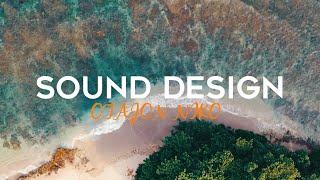 Sound design Premiere Pro - Sound dizayn video montajda audio effektlar va audio shumlar