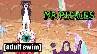 Mr. Pickles | Acid tRIP | Adult Swim Nordic