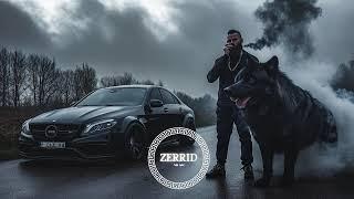 ZERRID - The Best Top Mixes 2025 #deepephouse #mix