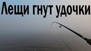 Крупняк на Волге на Сало Волге 2024 на леща #feederfishing #рыбалканаволге