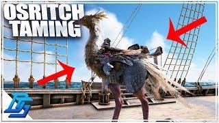 OSTRICH TAMING, SHEEP MOUNT FOR BOOMER! - Atlas Gameplay Part 26