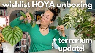 Wishlist Hoya unboxing + terrarium update | Plant with Roos