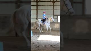 Hits different - Tay tay  #horse #equestrian #fyp