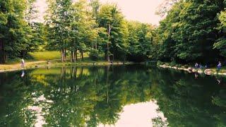 Rainbow Tales at the Glen Haffy Fish Hatchery