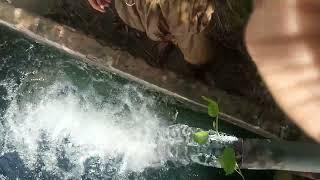 New Tubewell Swimming Vlog  Cute Boy Tube well Video  #swim